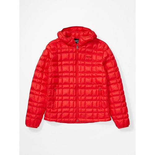 Marmot Down Jacket Red NZ - Avant Featherless Jackets Mens NZ7691253